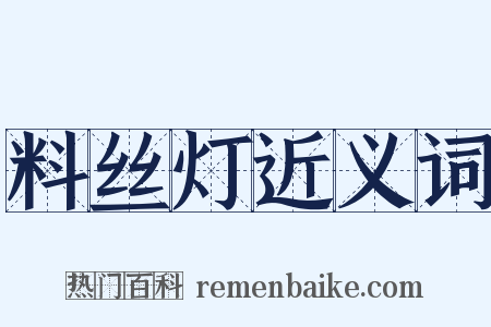 料丝灯近义词是什么意思的图片